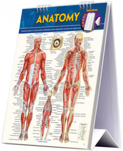 Anatomy - 2877300794