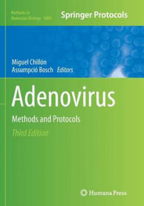 Adenovirus - 2871322868