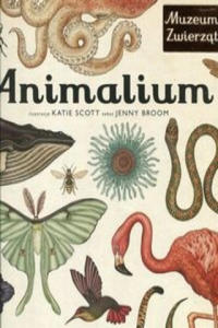 Animalium - 2876024244