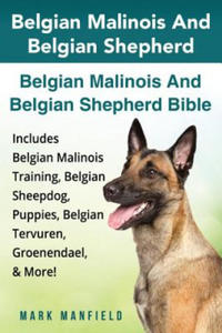 Belgian Malinois And Belgian Shepherd - 2866652082