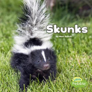 Skunks (Black and White Animals) - 2873989185