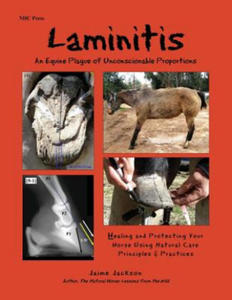Laminitis: An Equine Plague of Unconscionable Proportions - 2866665529