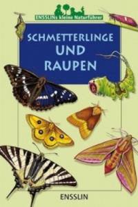 Schmetterlinge und Raupen - 2878621577