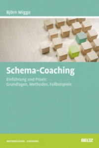 Schema-Coaching - 2878880617