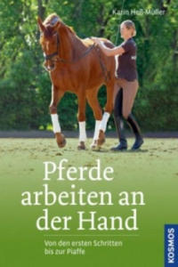 Pferde arbeiten an der Hand - 2866526520