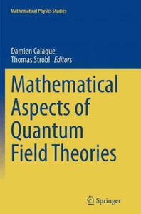 Mathematical Aspects of Quantum Field Theories - 2874801755