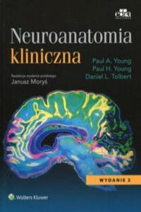 Neuroanatomia kliniczna - 2877402393