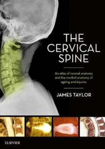 Cervical Spine - 2874789417