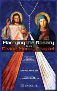 Marrying the Rosary to the Divine Mercy Chaplet - 2873992914