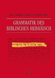 Grammatik des Biblischen Hebrisch - 2878289934