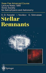 Stellar Remnants - 2878078156