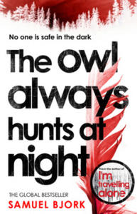 Owl Always Hunts At Night - 2878164102