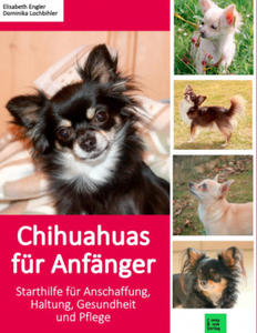 Chihuahuas fr Anfnger - 2877633853