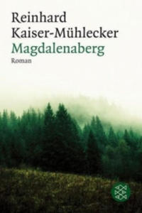 Magdalenaberg - 2876021401