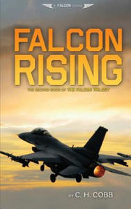 Falcon Rising - 2877493652