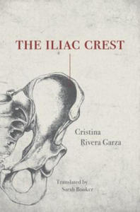 Iliac Crest - 2877170721