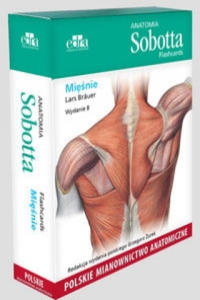 Anatomia Sobotta Flashcards. Miesnie. Polskie mianownictwo anatomiczne - 2877406875