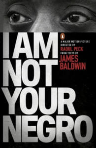 I Am Not Your Negro - 2848128589