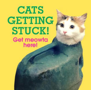 Cats Getting Stuck! - 2877766509