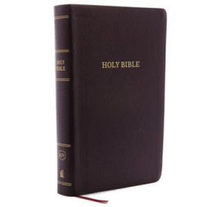 KJV Holy Bible, Personal Size Giant Print Reference Bible, Burgundy Bonded Leather, 43,000 Cross References, Red Letter, Comfort Print: King James Ver - 2867367593