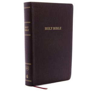 KJV, Reference Bible, Personal Size Giant Print, Bonded Leather, Burgundy, Red Letter, Comfort Print - 2862042415