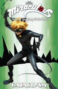 Miraculous: Tales of Ladybug and Cat Noir: Cataclysm - 2878779828