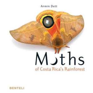 Moths of Costa Rica's Rainforest - 2871700878