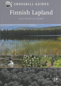 Finnish Lapland - 2878429313