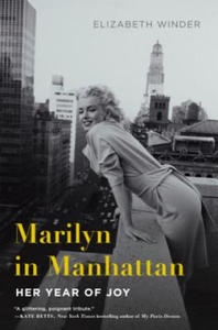 Marilyn in Manhattan - 2861931169