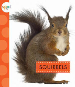 Squirrels - 2873994948