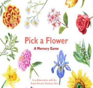 Pick a Flower: A Memory Game - 2876540954