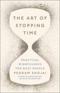 Art of Stopping Time - 2869245248