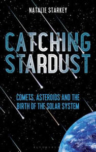Catching Stardust - 2862307642