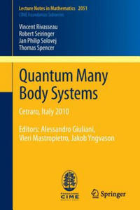 Quantum Many Body Systems - 2873901335