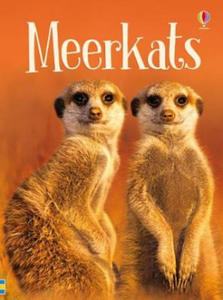 Meerkats - 2861962532