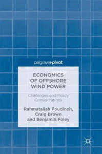 Economics of Offshore Wind Power - 2870497615