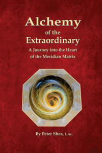 Alchemy of the Extraordinary: A Journey into the Heart of the Meridian Matrix - 2878175036