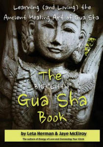 The BIG "Little" Gua Sha Book: Learning (and Loving) the Ancient Healing Art of Gua Sha - 2868250748