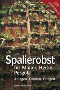 Spalierobst fr Mauer, Hecke, Pergola... - 2876543486