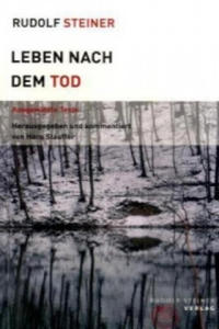 Leben nach dem Tod - 2861942217