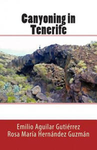 Canyoning in Tenerife - 2876541887