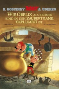 Wie Obelix als kleines Kind in den Zaubertrank geplumpst ist - 2876539455