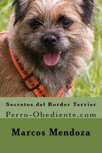 Secretos del Border Terrier: Perro-Obediente.com - 2861994836