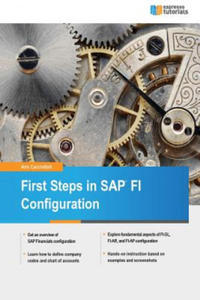 First Steps in SAP FI Configuration - 2867147947