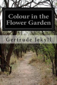 Colour in the Flower Garden - 2878183334