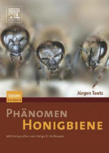 Phanomen Honigbiene - 2878441734