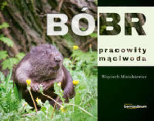 Bbr pracowity mciwoda - 2878173100