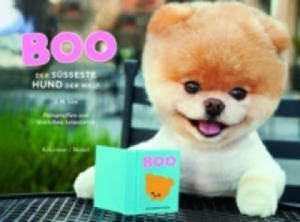 Boo - Der seste Hund der Welt - 2878872638