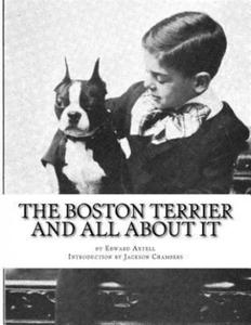 The Boston Terrier and All About It - 2874785276