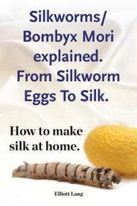 Silkworms Bombyx Mori explained. From Silkworm Eggs To Silk. How to make silk at home. - 2877870077